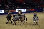 Quadrille - 00724